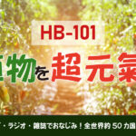 HB101