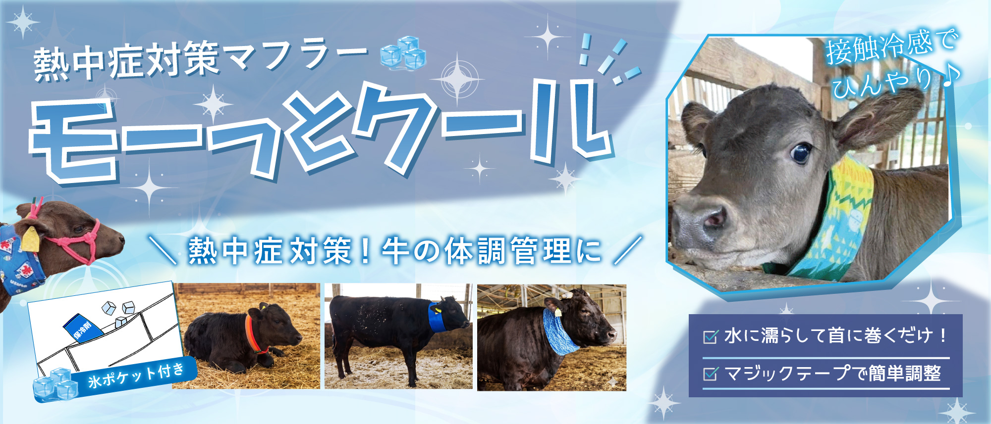 モーとクール