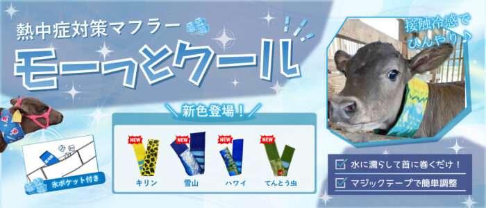 モーっとクール