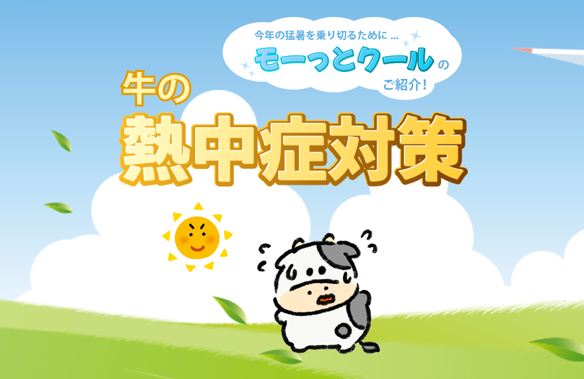 モーっとクールのご紹介！牛の熱中症対策